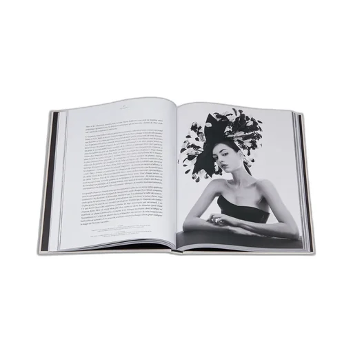 Book: Chapeaux Dior!