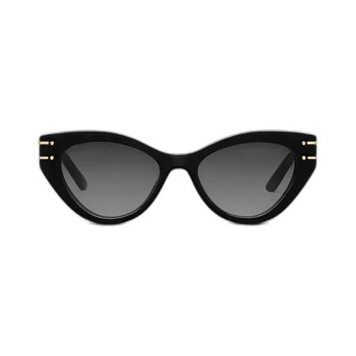 Diorsignature B7I