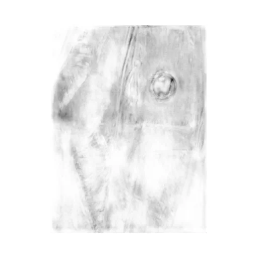 C.P. Company Hooded Jacket