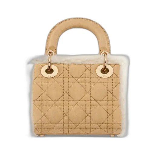 Mini Lady Dior Bag