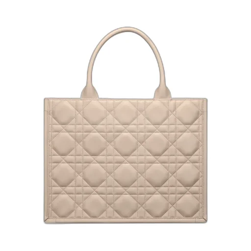 Medium Dior Book Tote