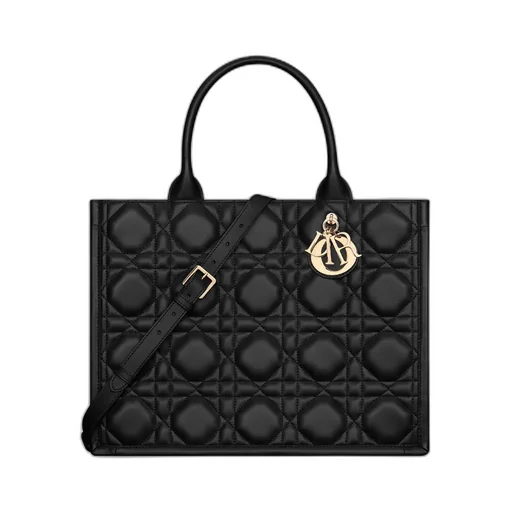 Medium Dior Book Tote