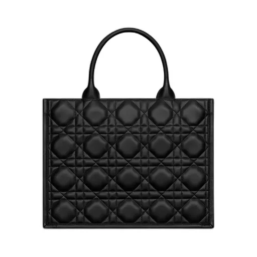 Medium Dior Book Tote