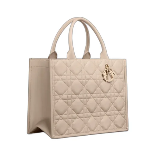 Medium Dior Book Tote