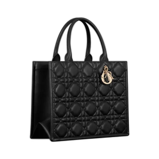 Medium Dior Book Tote