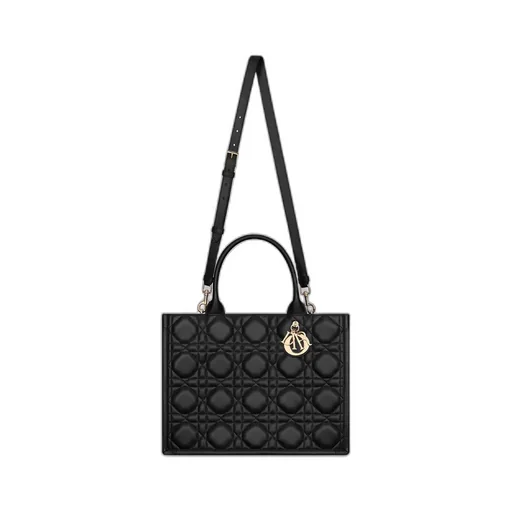 Medium Dior Book Tote
