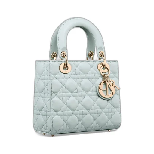 My Lady Dior And I Bag