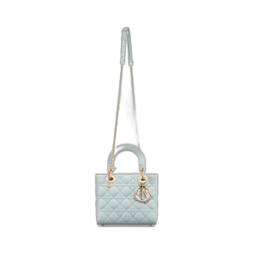 My Lady Dior And I Bag