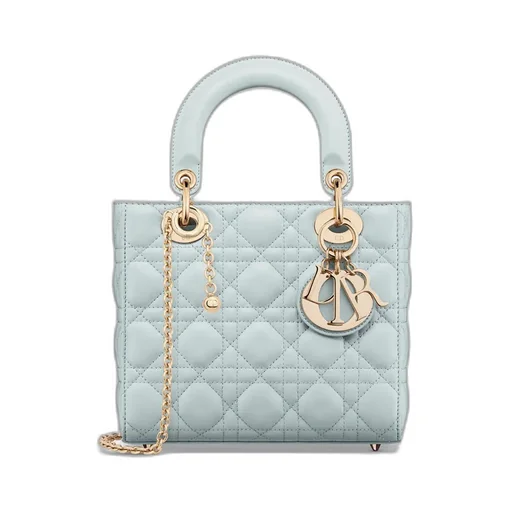 My Lady Dior And I Bag