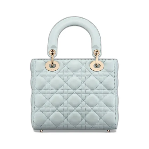 My Lady Dior And I Bag