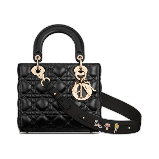 Small Lady Dior My Abcdior Bag
