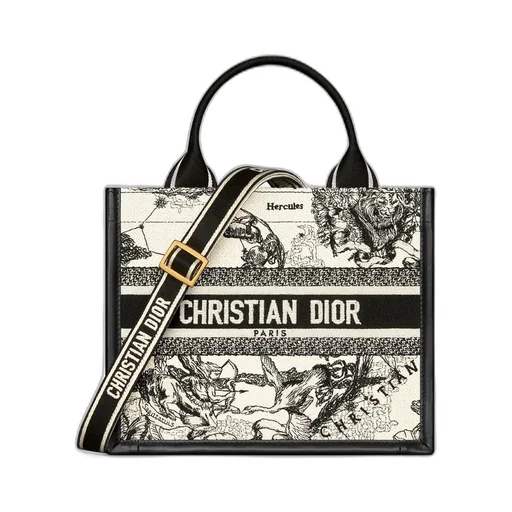 Small Dior Book Tote