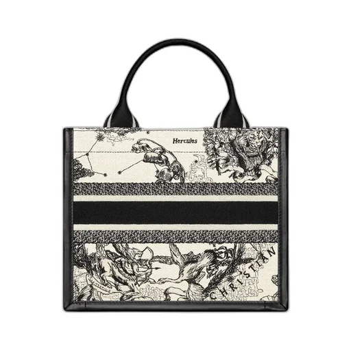 Small Dior Book Tote