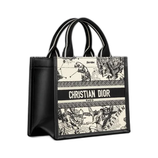 Small Dior Book Tote
