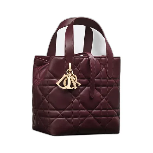 Small Dior Toujours Vertical Tote Bag