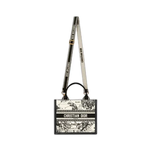 Small Dior Book Tote