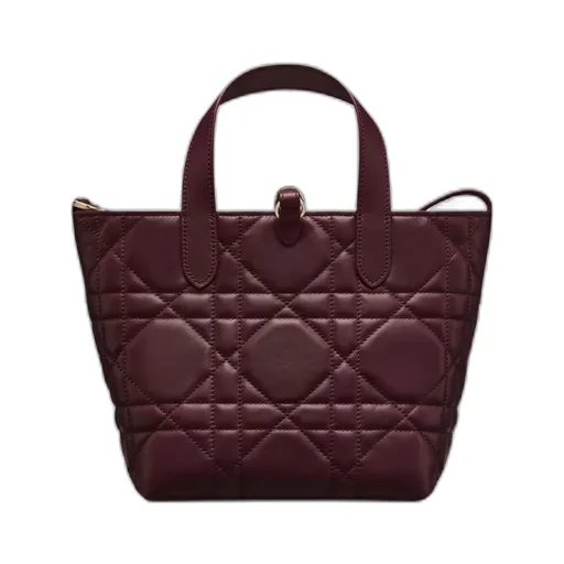 Small Dior Toujours Vertical Tote Bag