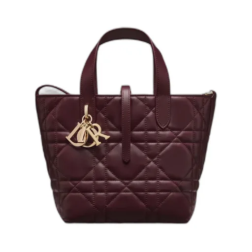 Small Dior Toujours Vertical Tote Bag