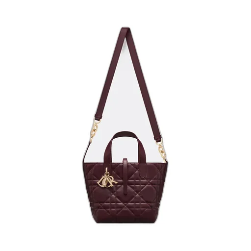 Small Dior Toujours Vertical Tote Bag