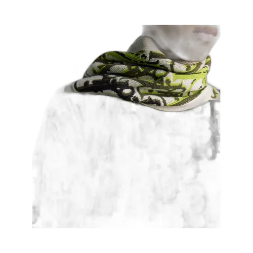 Dior Oblique Scarf