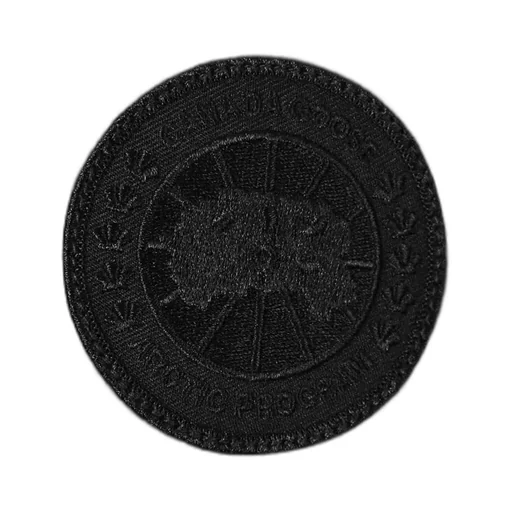 Canada Goose Logo Patch Down Parka