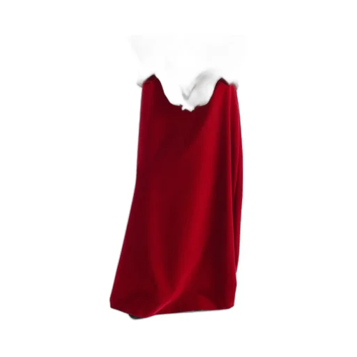 Long Flared Skirt