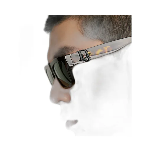 Dior Oblique S3I