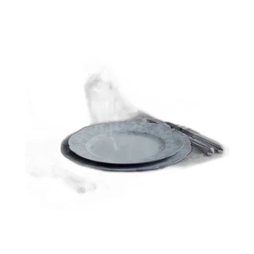Dinner Plate
