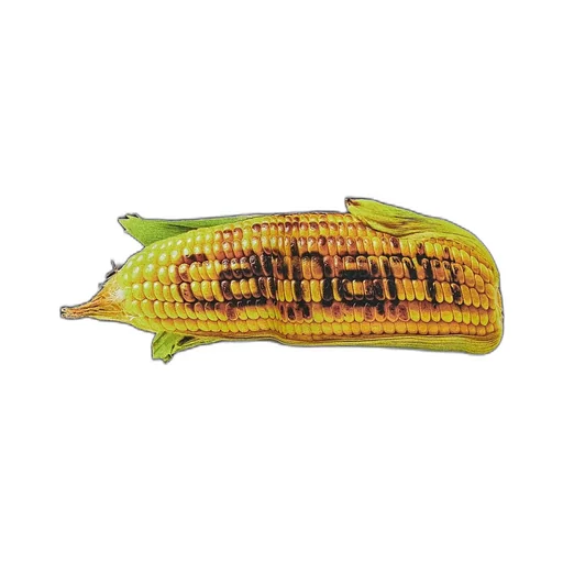 Carhartt Wip Hot Cob Print T-Shirt