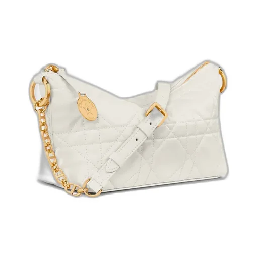 Diorstar Hobo Bag With Chain
