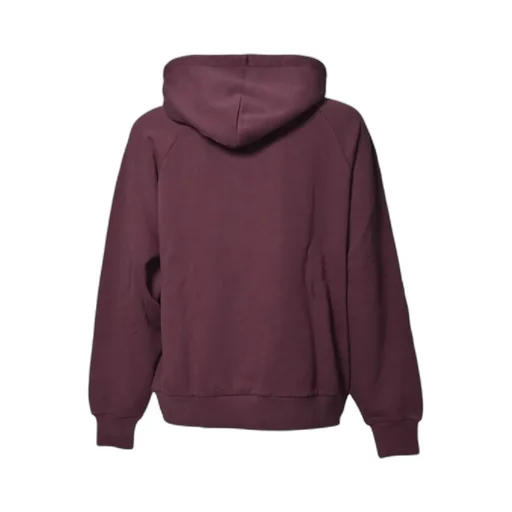 Carhartt Wip Hooded Ray Sweatshirt