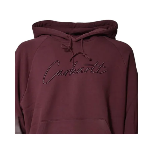 Carhartt Wip Hooded Ray Sweatshirt