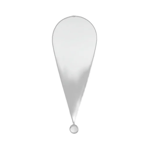 Rose Des Vents Medallion