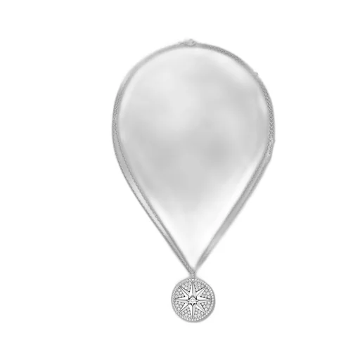 Rose Des Vents Medallion