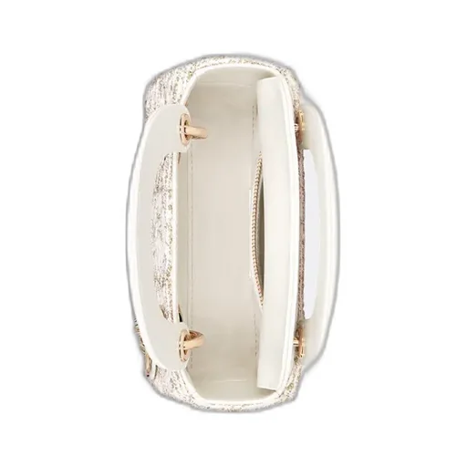 Dior Or Mini Lady Dior Bag