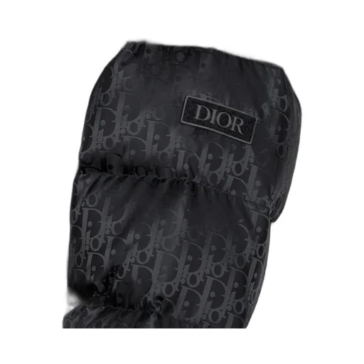 Dior Oblique Down Jacket