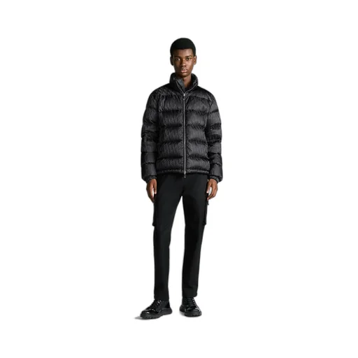 Dior Oblique Down Jacket