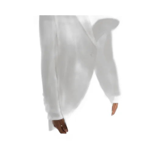 Long Flared Skirt