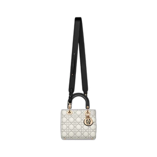 Small Lady Dior My Abcdior Bag