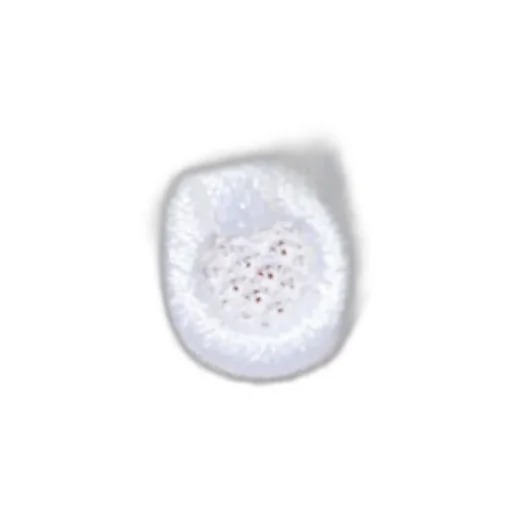 Ferragamo Gancini Embroidered Polo Shirt