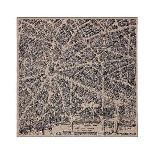 Plan De Paris Shawl