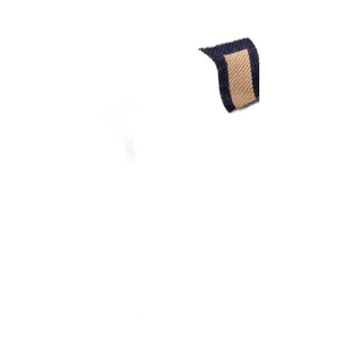 Ferragamo Maxi-Logo Scarf