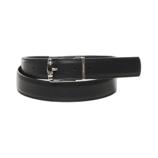 Ferragamo Classic Logo Detailed Buckle Belt