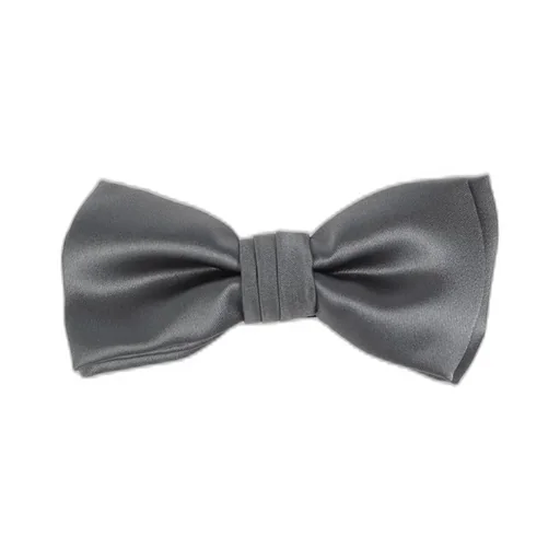 Ferragamo Bow Tie