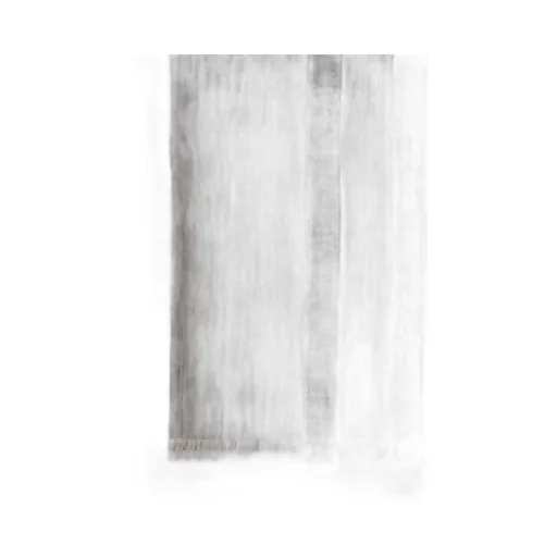 Ferragamo Striped Fringed-Edge Scarf