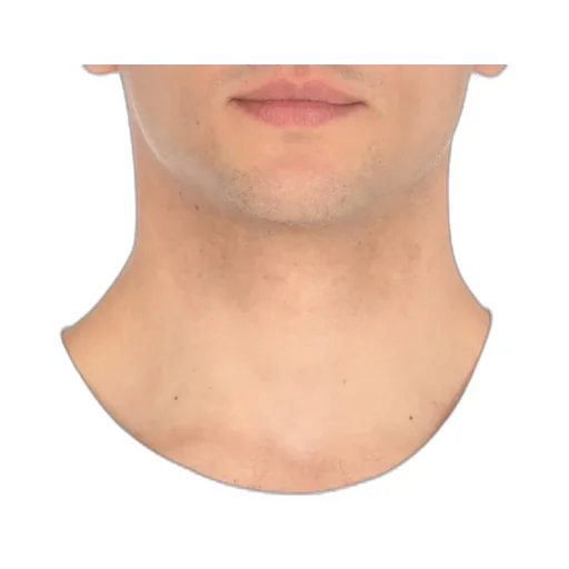Fay Crew Neck T-Shirt