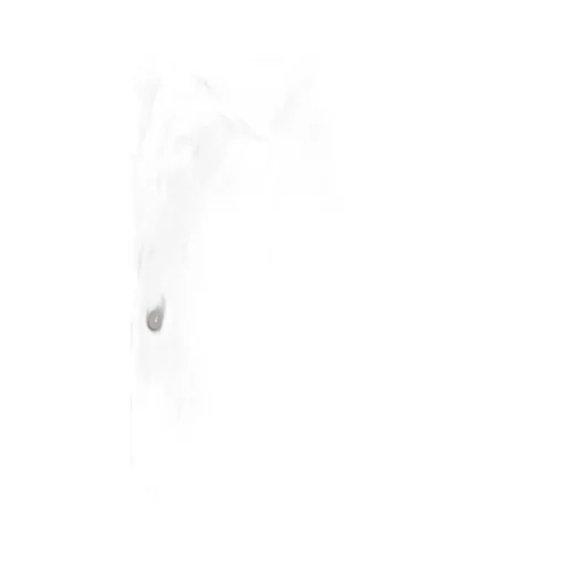 Emporio Armani Cotton Shirt