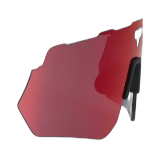 Face Hide Raider Sunglasses