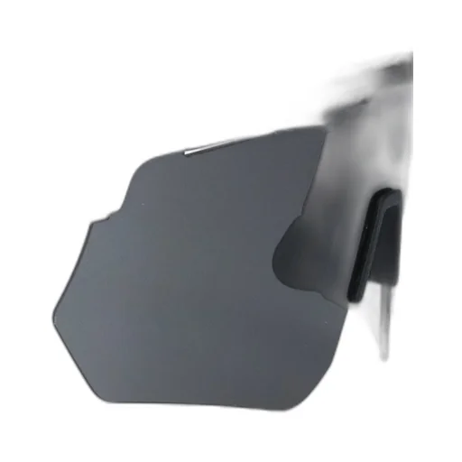 Face Hide Raider Sunglasses