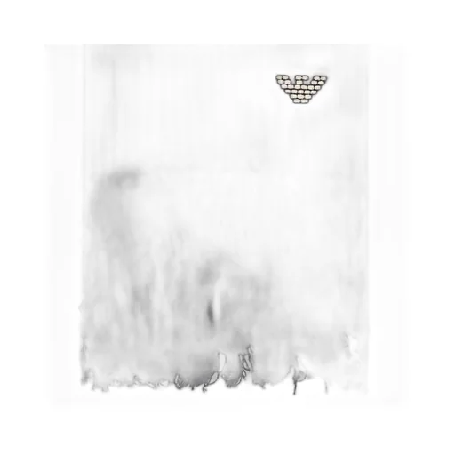 Emporio Armani Fringed Edge Scarf